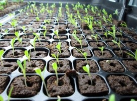 Agritech