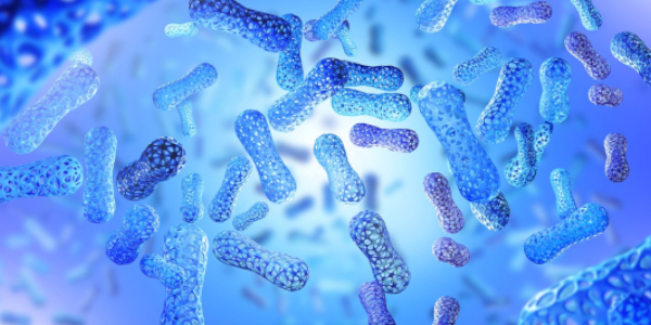 Studying the Gut Without the Human: How AMILI Cracks The Code Of Asian Gut Health