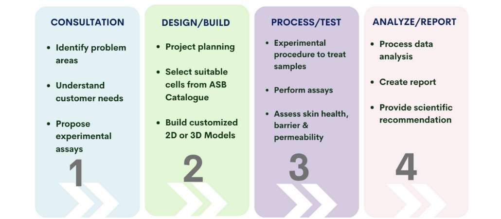 Process chart-new