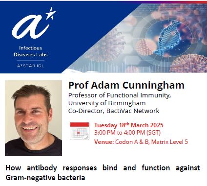 How antibody responses bind and function against Gram-negative bacteria