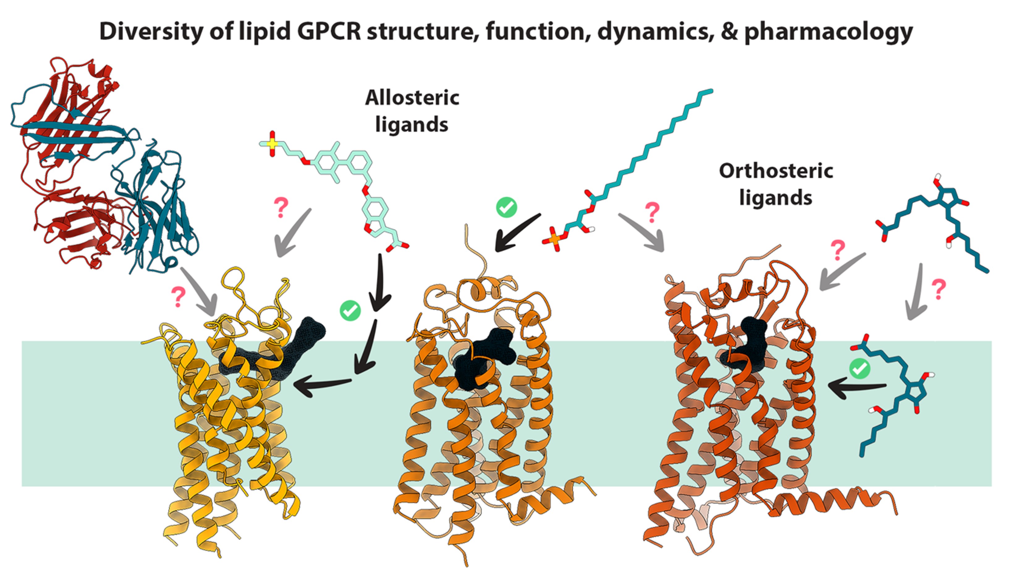 BII_Research-BSMD-SLDD_figure-3