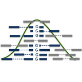 GSCI_fig GSCI_fig