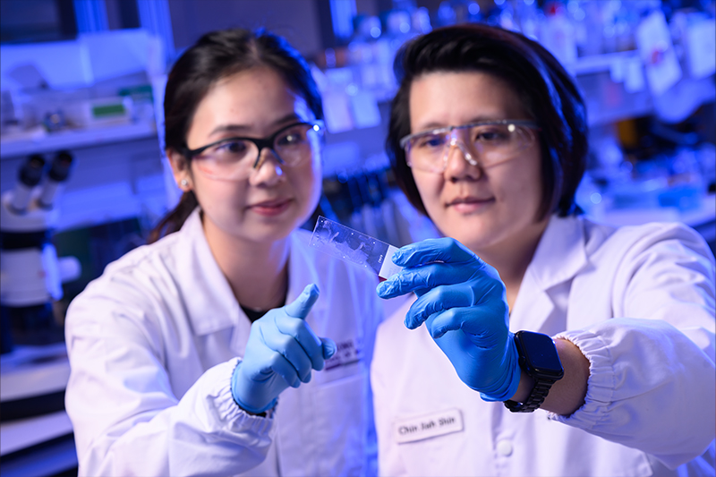 Accelerating Healing of Chronic Wounds by 50%