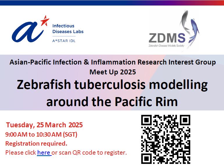 Zebrafish tuberculosis modelling around the Pacific Rim