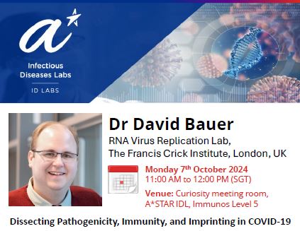 David Bauer