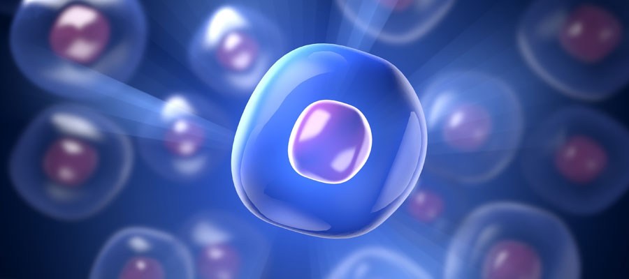 Spatial And Single Cell Systems