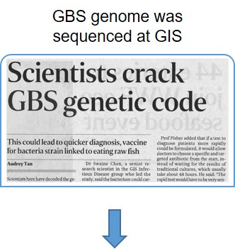 gbs_2