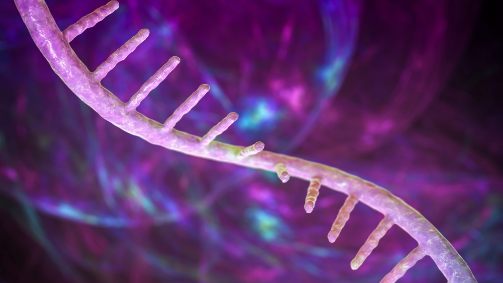 RNA 1 (resized)