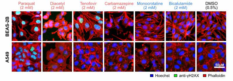 BII_Research-CIID-CCPA_figure-4