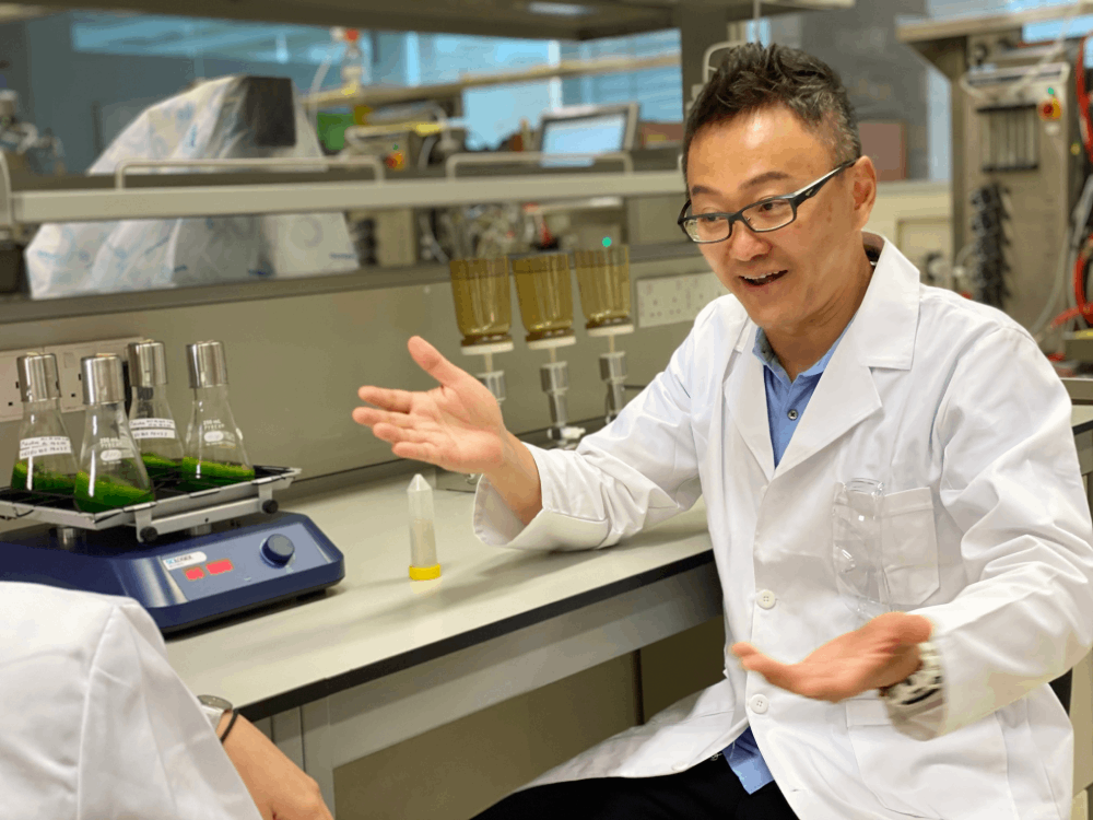 Eugene Wang, Co-founder of Sophie's Bionutrients