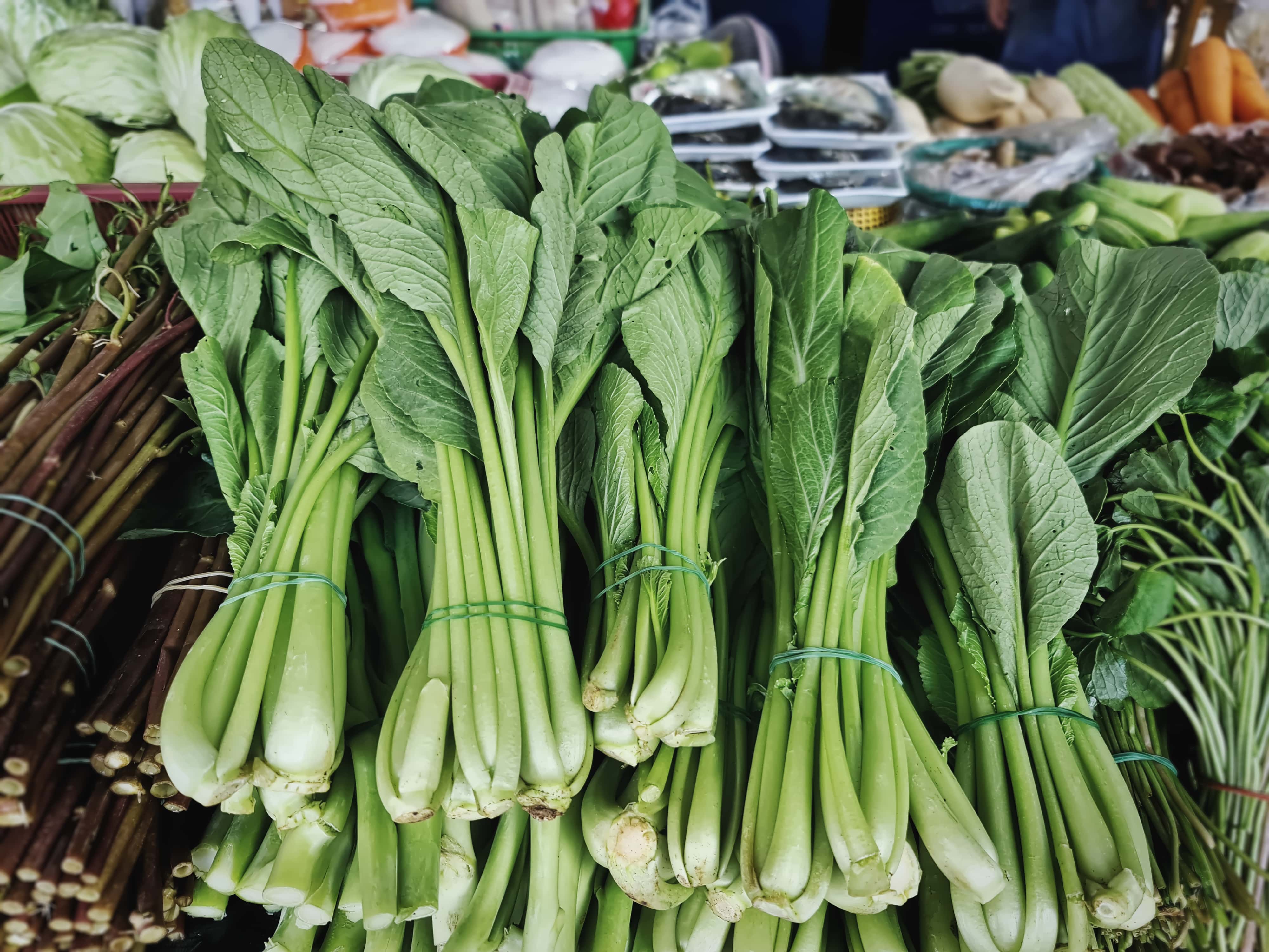 Carotenoids, tocopherols and phylloquinone content