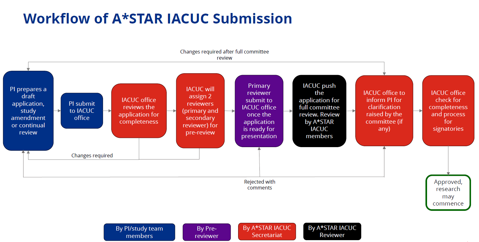 astar-image-placeholder