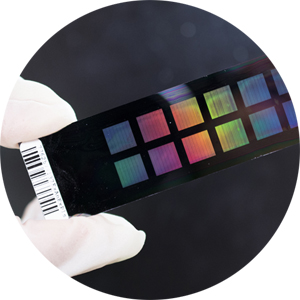 human_genetics_photo