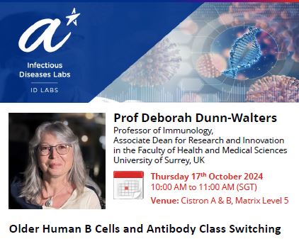 Older Human B Cells and Antibody Class Switching