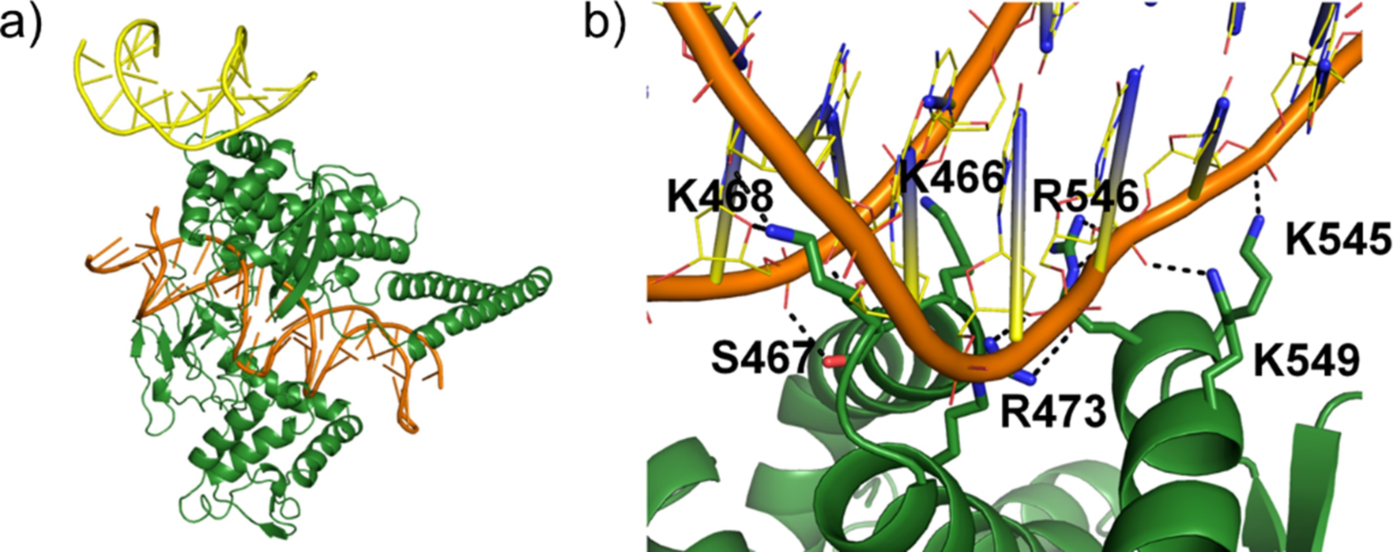 BII_Research-BSMD-FBD_figure-2