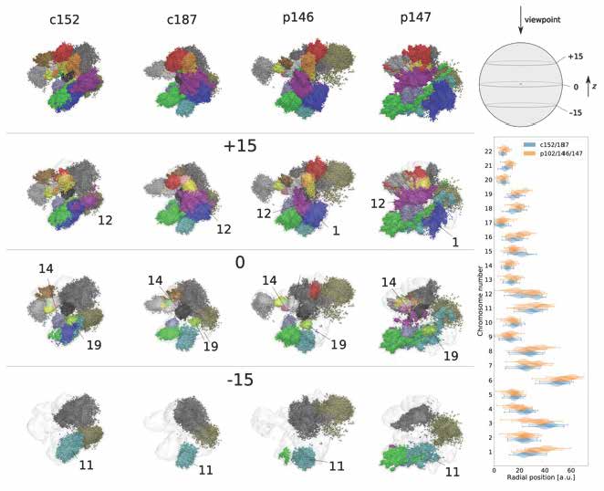 BII_Research-BSMD-PEBM_figure-1