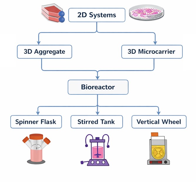 2D systems