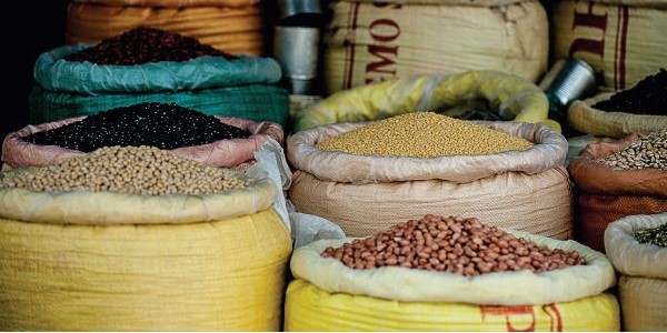 Weighing the benefits of plant-based diets