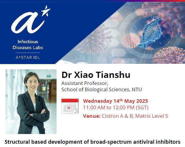 Structural based development of broad-spectrum antiviral inhibitors