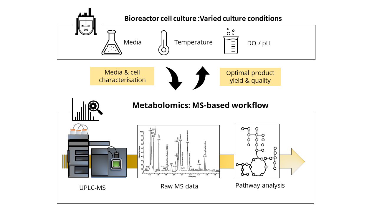 Detection and Identification of Short-Chain Peptides