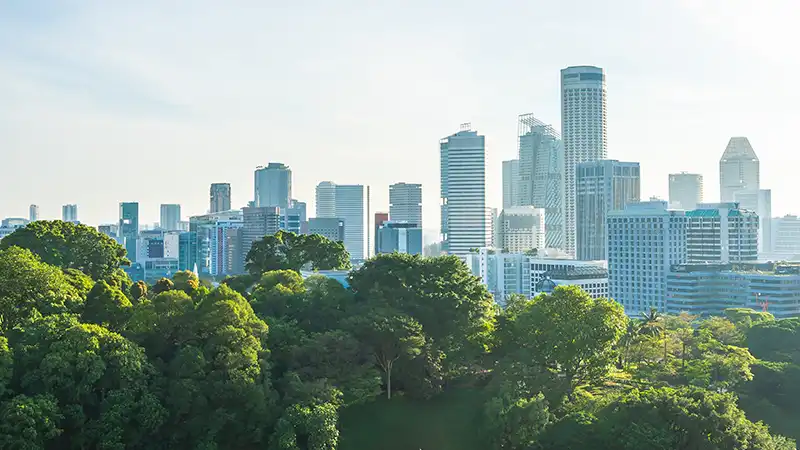 Decarbonisation technologies