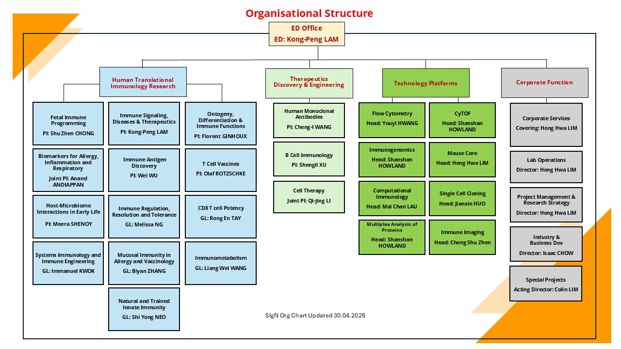 SIgN Org Chart 30 Apr 2026