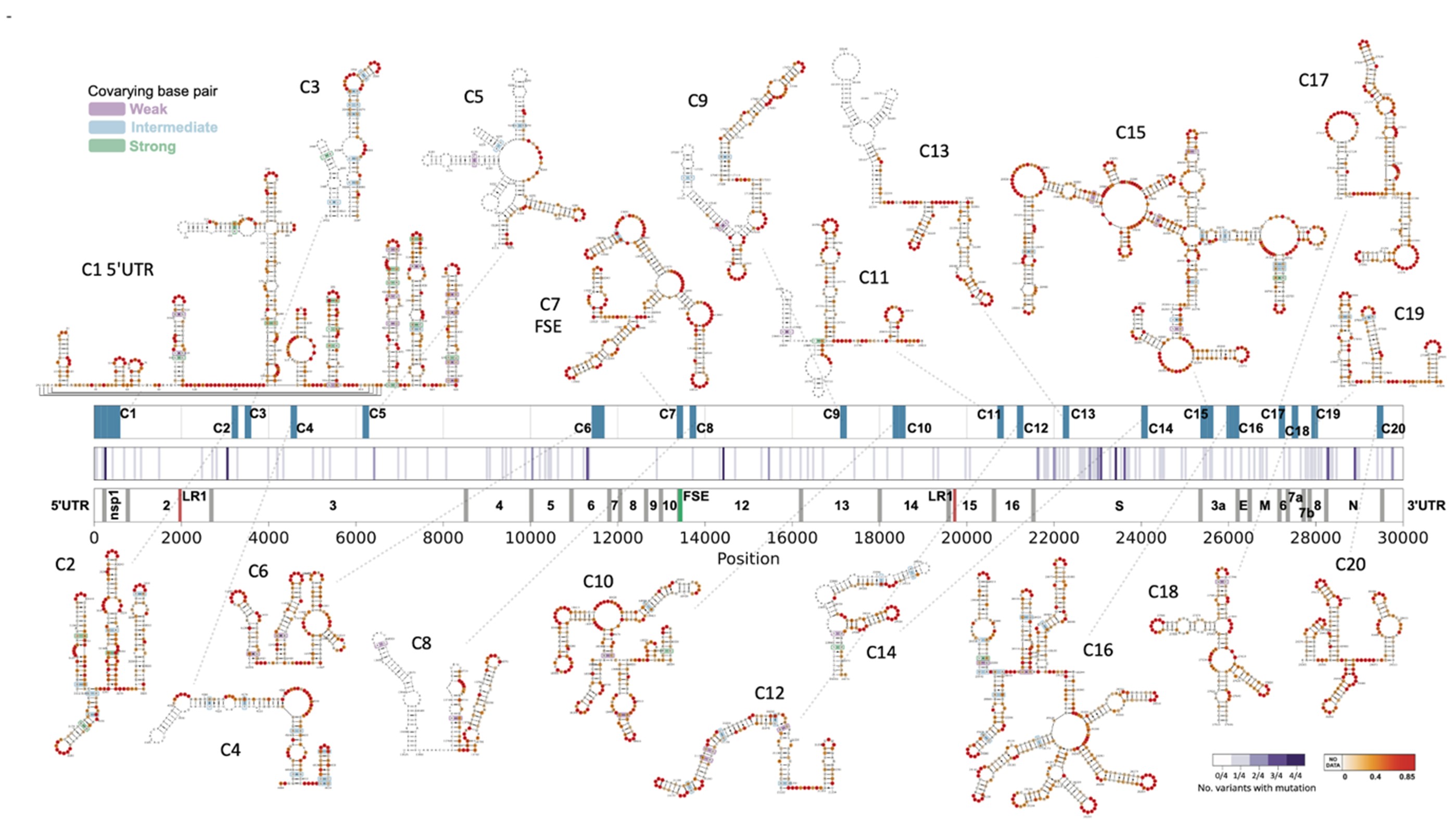 BII_Research-BSFD-FSRNA_figure-2