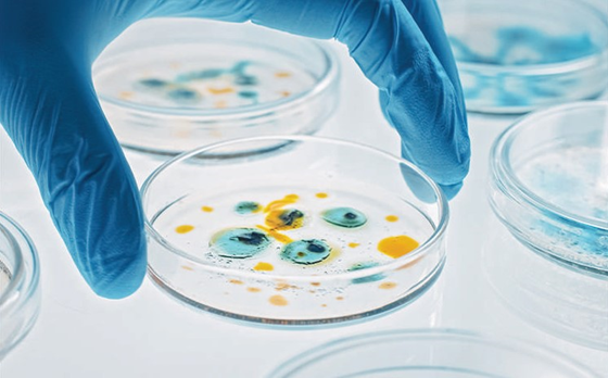 /images/65astargraduateacademyagalibraries/aga/aga_why_astar_main_image.tmb-rs560.webp?Culture=en&sfvrsn=220fc020_1