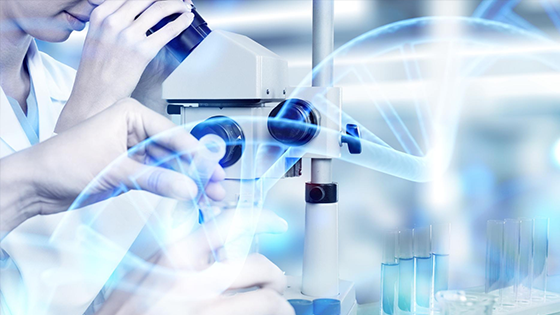 /images/65astargraduateacademyagalibraries/aga/others/student-awards-main.tmb-rs560.webp?Culture=en&sfvrsn=90c5a413_1