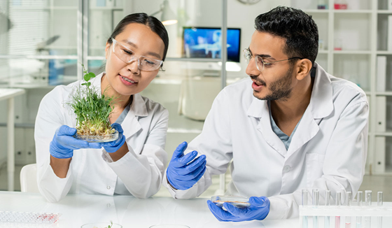 /images/65astargraduateacademyagalibraries/aga/scholars/young-female-laboratory-worker-gloves-whitecoat-holding-green-lab-grown-soy-sprouts-workplace-with-her-colleague-near-by_1200x700.tmb-rs560.webp?Culture=en&sfvrsn=4ad1c7fa_1