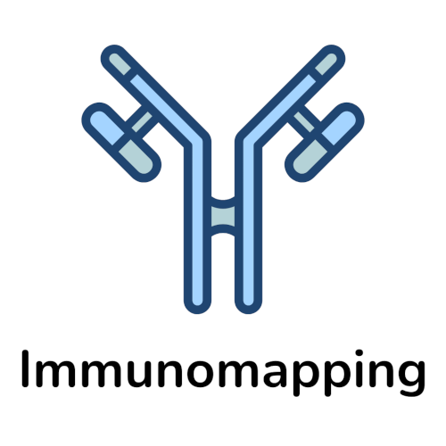 #3_CORE Platform_Image 9 Immunomapping