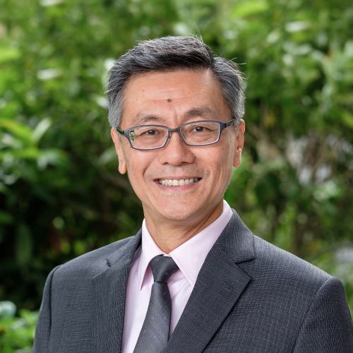 Professor Tan Eng Chye