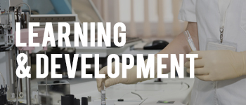 learning and development