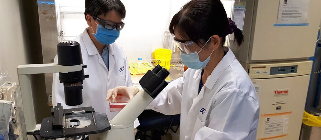 IMCB scientists analysing tests on antibodies against synthetic viral proteins