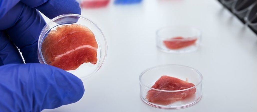 SWITCH Sustainable Proteins