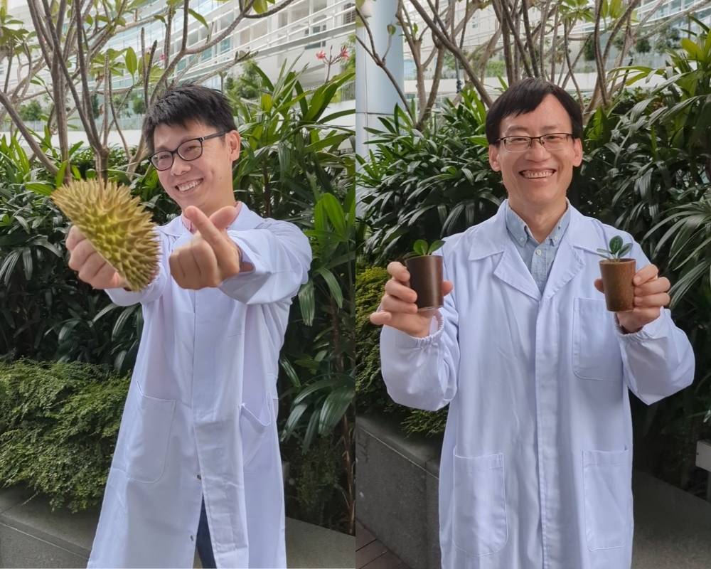 Durian Husk Project Scientists Durian Husk Project Scientists