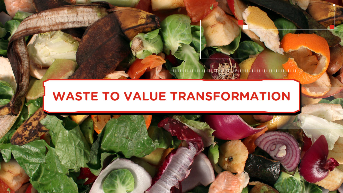 Waste to value transformation