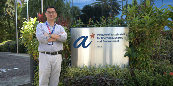 Advancing Low-Carbon Innovation for a Sustainable Future