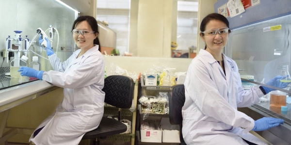 ASTAR Bringing Biologic Drugs to Market Faster and More Efficiently Jessna Yeo