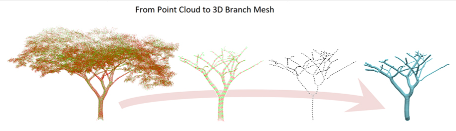 3D Tree Modelling: 3D Branch Mesh