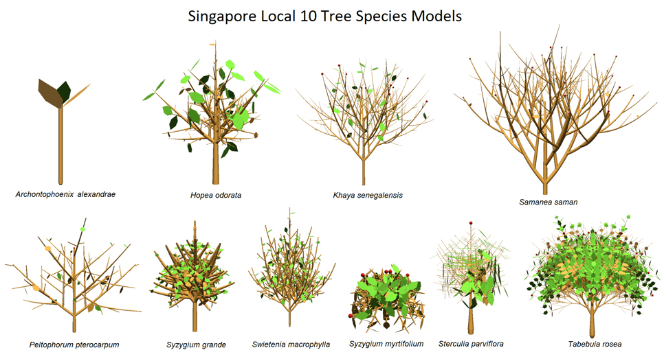 3D Tree Modelling: Local 10 tree species