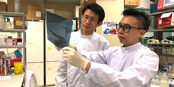Mentor Dr Adrian Teo with his mentee Larry Loo at their laboratory in IMCB