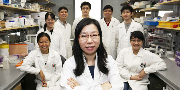 Chen Yuan, Wong Chi Yan, Nicholas Ho Rui Yuan, Zhang Yan, Pan Si Jun, Noah Sundah, Natalia Auginia Chen Yuan, Wong Chi Yan, Nicholas Ho Rui Yuan, Zhang Yan, Pan Si Jun, Noah Sundah, Natalia Auginia