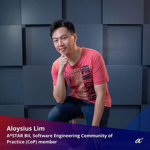 Software Engineering Community of Practice - Aloysius Lim (BII)