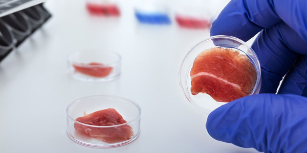 Lab grown meat from cell to steak