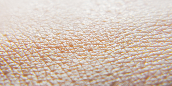 Close up view of skin