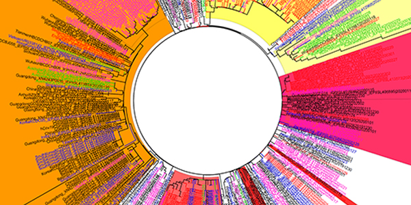 Knowing the Enemy to Fight the COVID-19 War - CoVtree suncolors