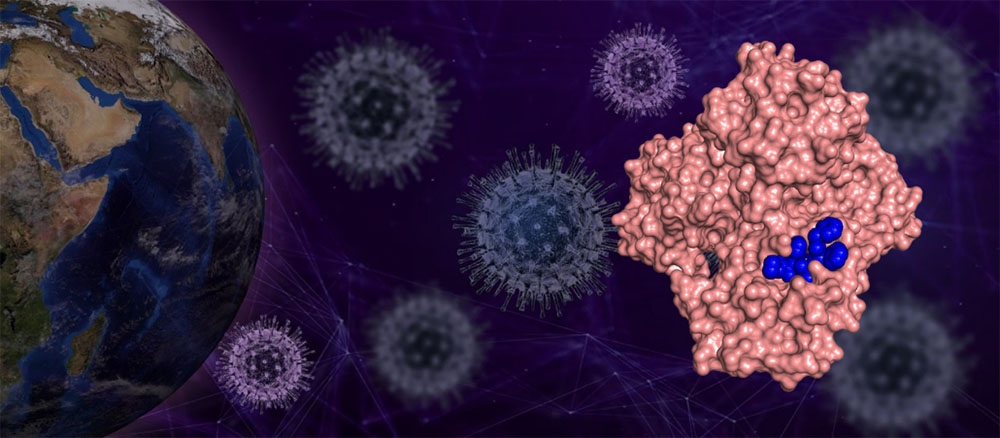 Molecule model