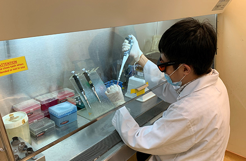Dr Ong Qunxiang, Research Fellow, SBIC Dr Ong Qunxiang, Research Fellow, SBIC