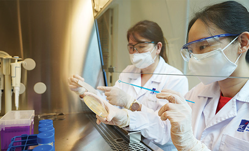 SIMTech researchers SIMTech researchers